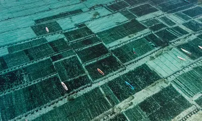 Indonesia’s Aquaculture Future: Growth, Challenges, and Opportunity