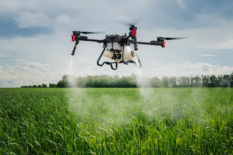 Economic Threshold Level: When Spraying Actually Pays